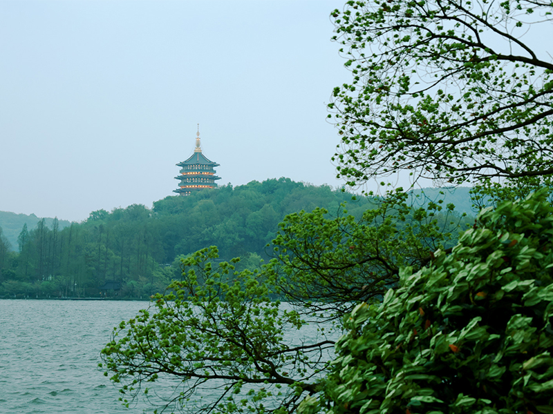 人文杭州，父母們來了！河南礦山第十三屆孝文化感恩旅游節(jié)第三站